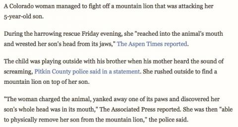 Colorado woman saves son from mountain lion