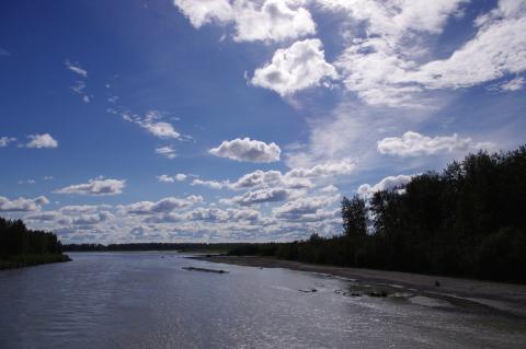 View of the Talkeetna rivers from the bridge