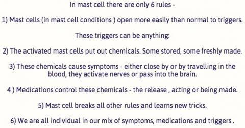 Six rules of mast cells