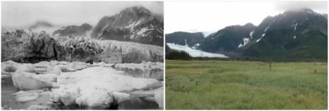 The disappearing Pedersen Glacier in Alaska