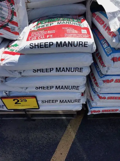Sheep manure?