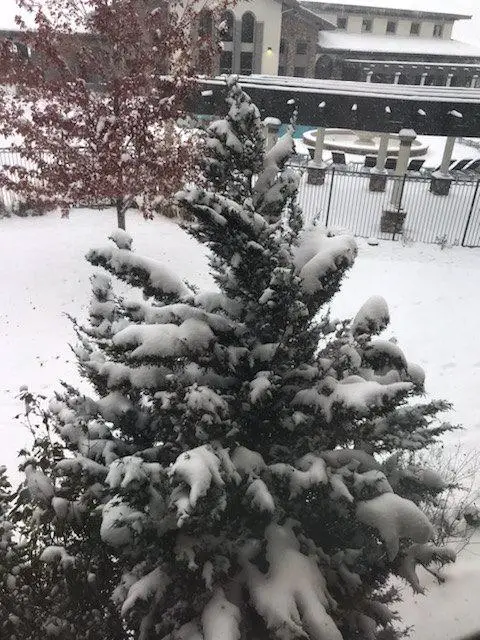Let it snow? (October 29, 2019)