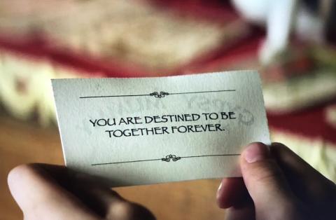 “You are destined to be together forever”