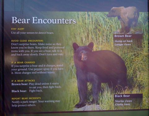 bear safety sign in Alaska