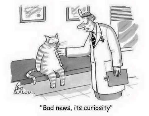 “Bad news, it’s curiosity” (cartoon)