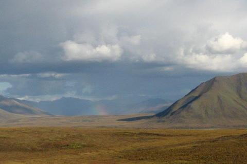 A rainbow over the hill, off the Dalton Highway, Alaska