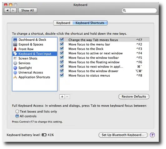 Mac OS X Preferences - Keyboard Shortcuts, including putting focus on the Mac menu bar