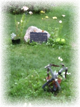 Talkeetna, Alaska cemetery