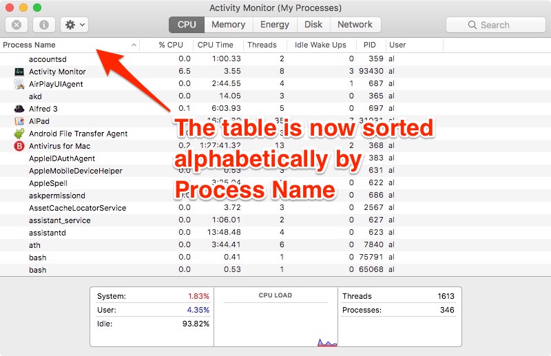 The MacOS Activity Monitor sorted alphabetically by Process Name