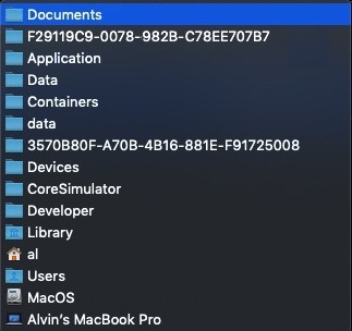 The directory/location of my log file on an iOS simulator