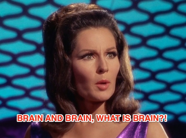 star trek what is brain