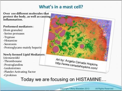 What's in a mast cell?