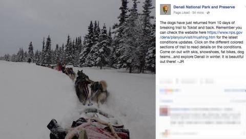 Denali, Alaska: 10 days of breaking trail