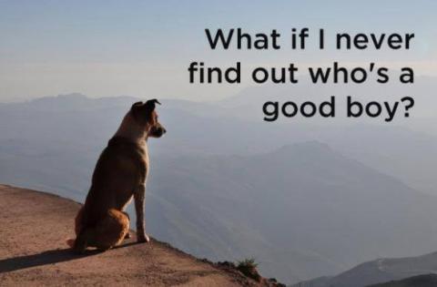 Who’s the good boy? | alvinalexander.com