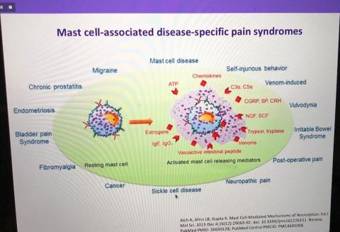 Mast cell-associated disease-specific pain syndromes