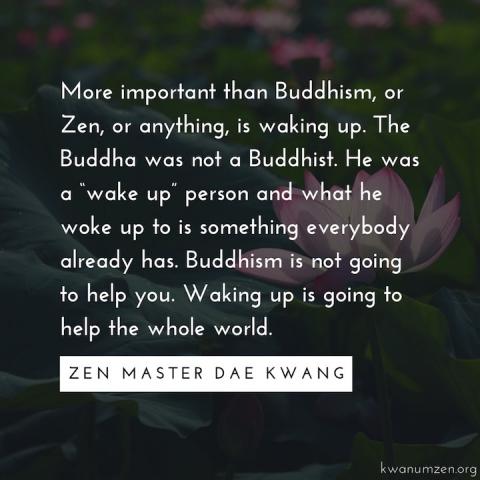 Buddhism is not going to help you