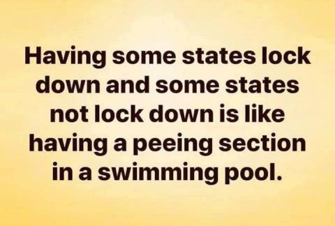 Not having a nationwide lockdown, and a “peeing section” in a swimming pool