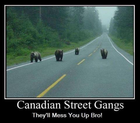 Canadian street gangs will mess you up