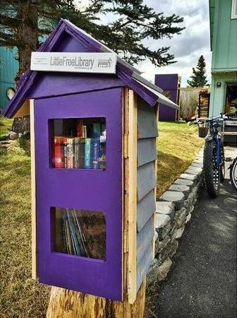 Community library stolen in Anchorage, Alaska