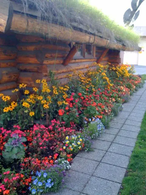 Flowers and a grassy roof, the Visitor’s Center, Anchorage, Alaska