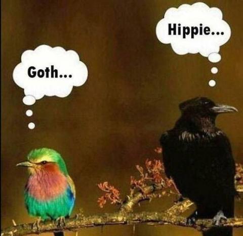 Goth ... Hippie ...