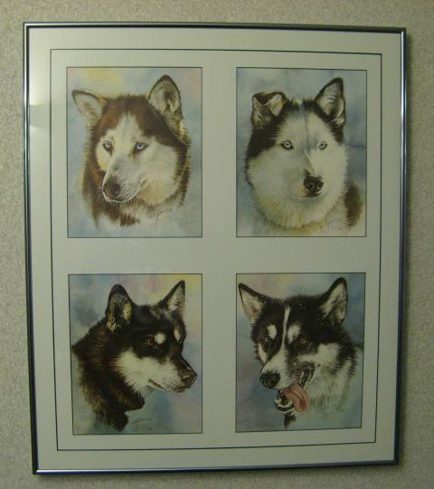 A picture of four sled dog paintings from a motel in Healy, Alaska