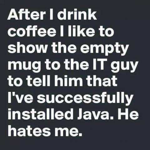 IT guy: I have successfully installed Java