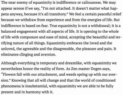 Equanimity vs indifference (Jack Kornfield)