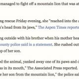 Colorado woman saves son from mountain lion