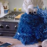 Cookie Monster