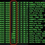 'ls' command output sorted by filesize