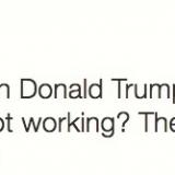 Donald Trump and microphones