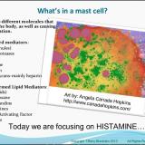 What's in a mast cell?
