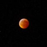 Lunar eclipse 2010, Wasilla, Alaska