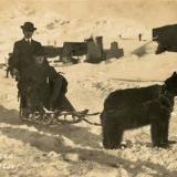 First attempt at using a sled in Alaska