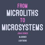 From Microliths To Microsystems