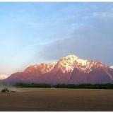 A farmer plowing a field