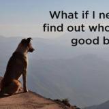 Who's the good boy?