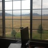 The view from my home office