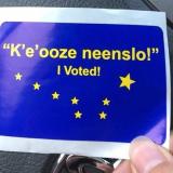 Alaskan I Voted sticker