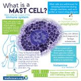 Great printable infographics on mast cell disease