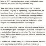 Mast cell disease, histamine, and how stress turns into sickness