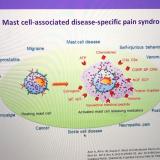 Mast cell-associated disease-specific pain syndromes
