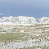 Snow on the Rocky Mountains, southeast of Boulder