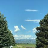 Rocky Mountains between two trees