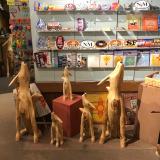 Howling wolf/coyote statues, Santa Fe, New Mexico