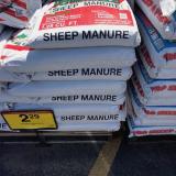 Sheep manure?