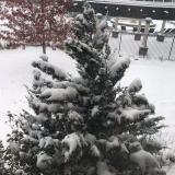 Let it snow? (October 29, 2019)