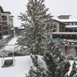 First snow, fall, 2019