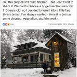 Woman turns 110 year old tree stump into a little library